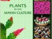 Plants in the Mayan Culture