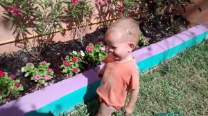 child watering flowers (C)