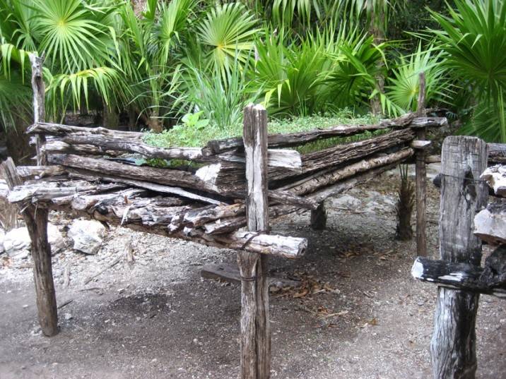 Mayan raised beds for new plants Botanic Garden