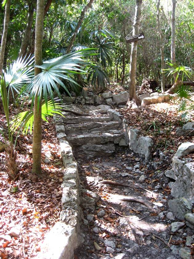 Stone steps in Botanic Garden